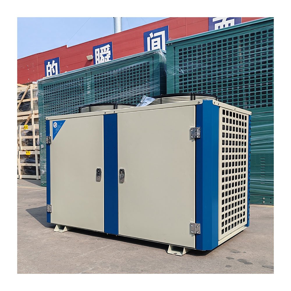 Chinese FNU Type Condenser Industrial Piston air Parallel Refrigeration Compressor Condensing Unit