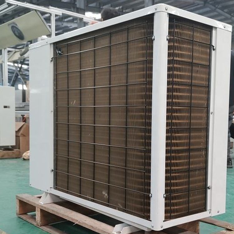 Walk-In Cold Storage Frequency Conversion Air-Cooled Condensing Unit Refrigeration Equipment Spare Parts