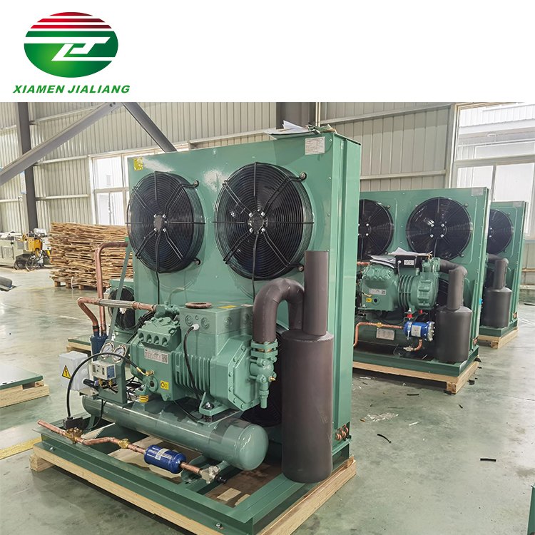 Freezer Room Refrigeration Unit Cold Room Condenser Unit Cold Storage Equipments for Sale