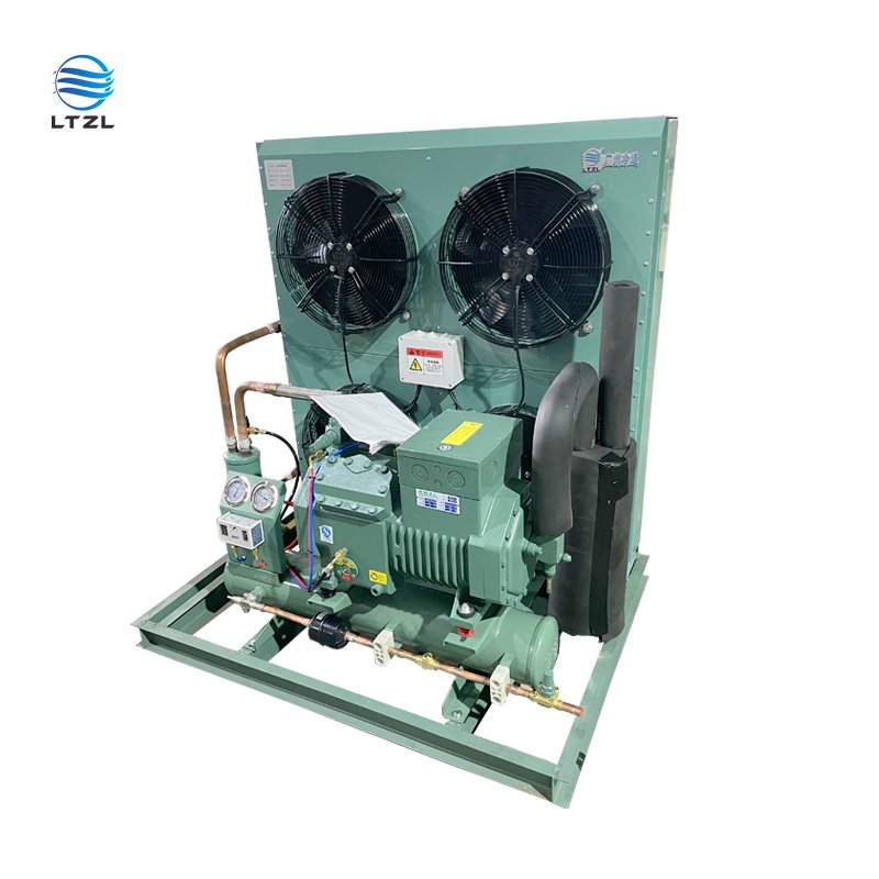 Refrigeration Compressor System Condensing Unit Refrigerator Freezer Commercial Refrigerator Freezer Supermarket