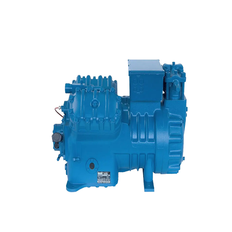 Industrial Refrigeration Unit R600 Piston Type Compressor Air-cooled Condensing Unit of Frascold for Freezing Room Long Time Use