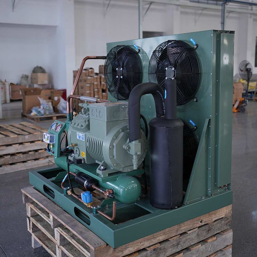 Cold Room Cold Storage High Performance Two Stage Bitzer Compressor Air Cooled Condensing Unit