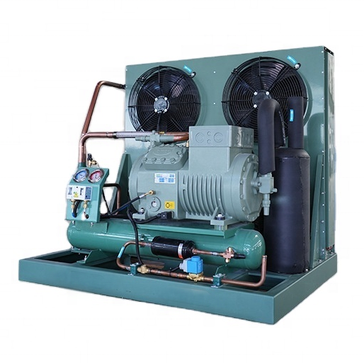 Compressor Refrigeration Equipment Semi-Enclosed Air-Cooled Condensation Cold Storage