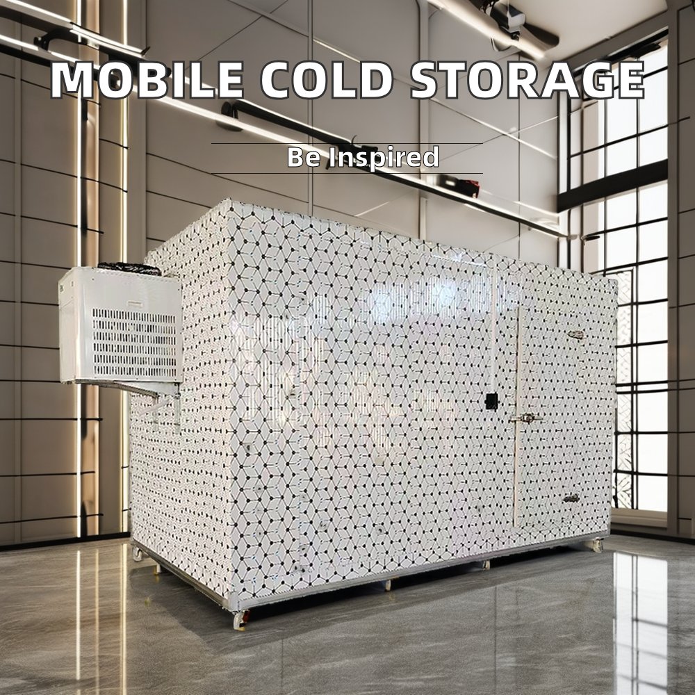 Freezer Container 20ft Cold Storage Room