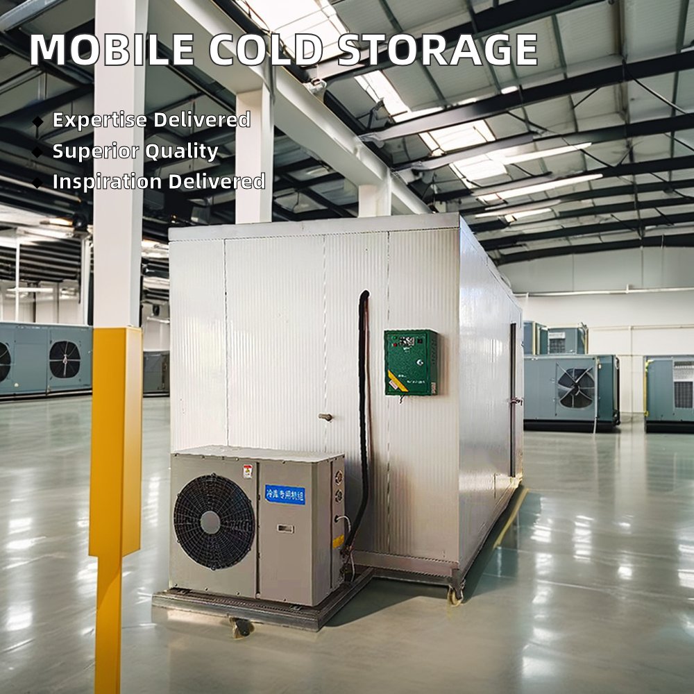 Freezer Container 20ft Cold Storage Room