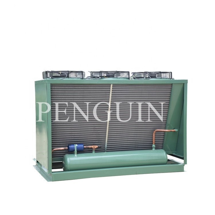 25HP Walk in Freezer Units Semi Hermetic Reciprocating Compressor Air Cooler Refrigeration Condensing Unit for Sale