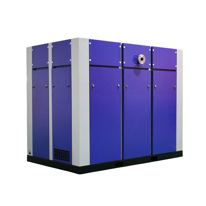 High Efficiency 10 bar Oil Free Screw Air Compressor for Medical