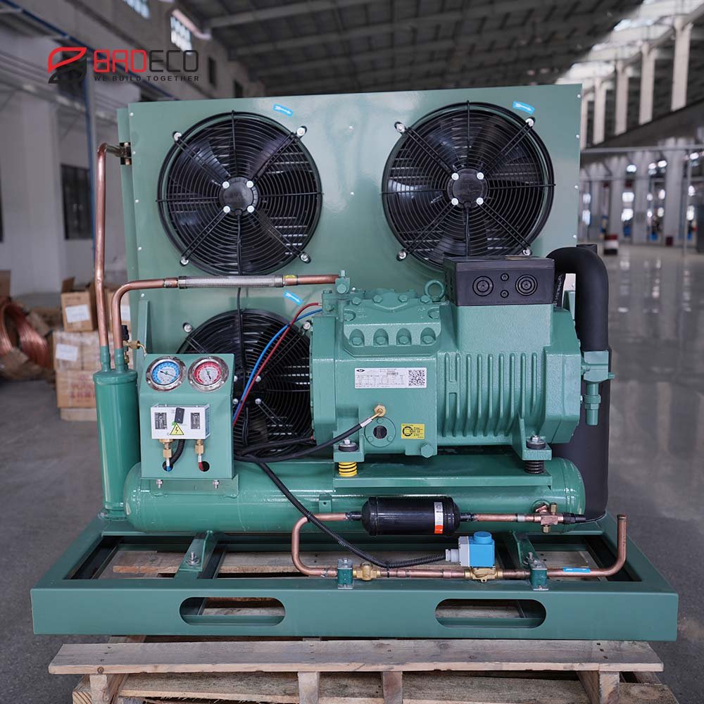 Customized Air Cooled Refrigeration AC 220V/380V Low Temperature Condensing Unit for Cold Room