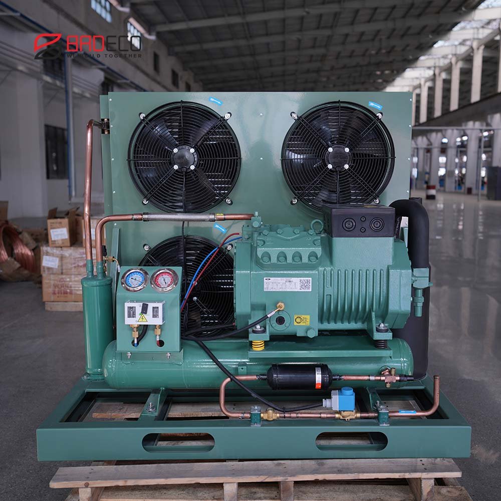 Customized Air Cooled Refrigeration AC 220V/380V Low Temperature Condensing Unit for Cold Room