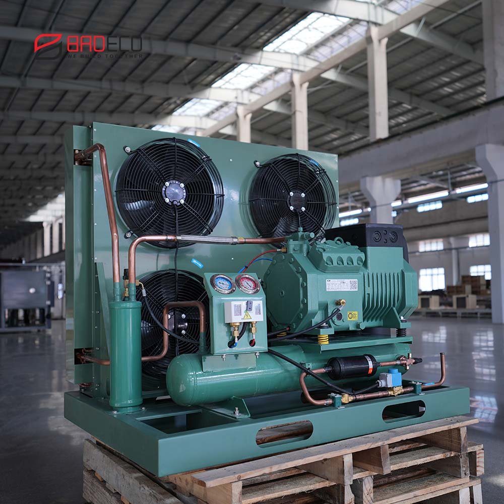 Customized Air Cooled Refrigeration AC 220V/380V Low Temperature Condensing Unit for Cold Room