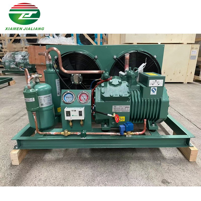 Factory 3hp 5hp 6hp 10hp Germany Air Cooled Compressor Condensing Unit for Cooling System Refrigeration