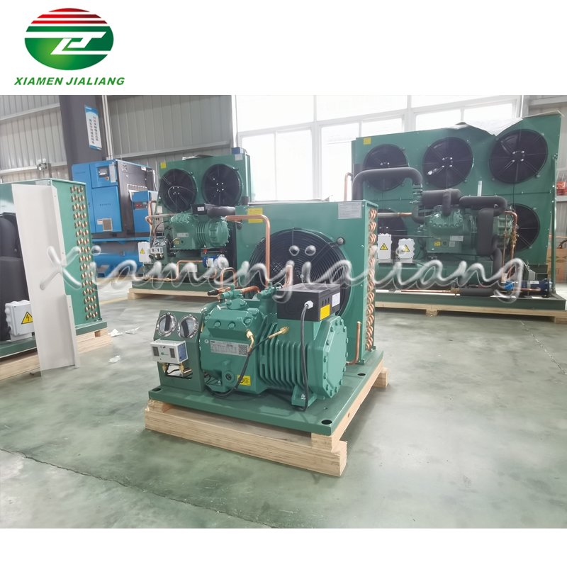 Factory 3hp 5hp 6hp 10hp Germany Air Cooled Compressor Condensing Unit for Cooling System Refrigeration