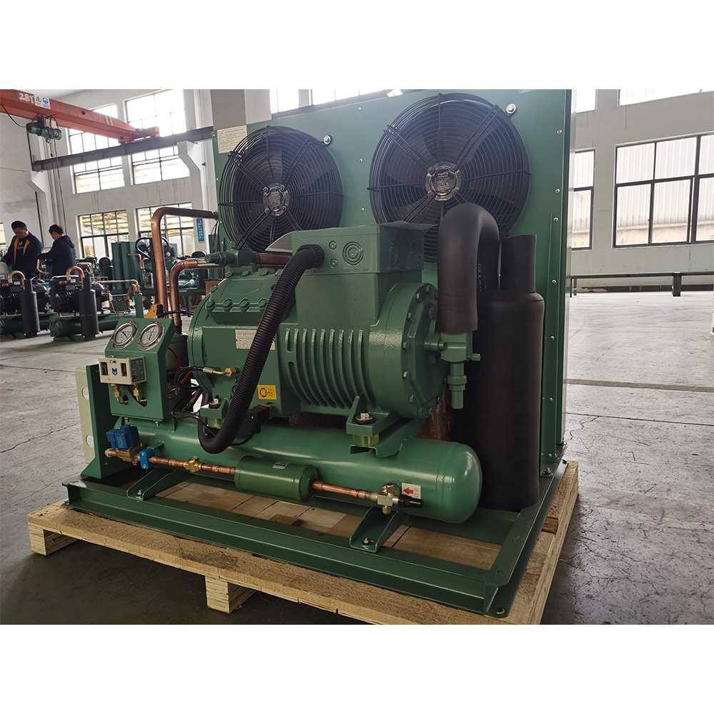 SINOCOLD 3phase 220V 60HZ 10Hp Condensing Unit With Bitzer Compressor for Cold Room Walk-in Freezer System