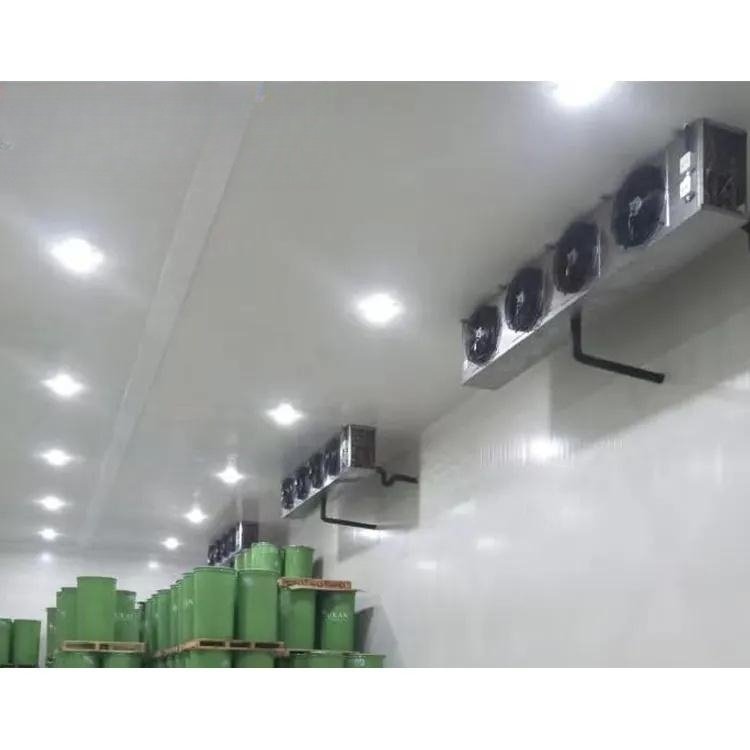 7.5 kW Evaporator for Cold Room Application DJ Evaporator Coil Refrigeration Air Cooler Center Mount Walk in Cooler Evaporator