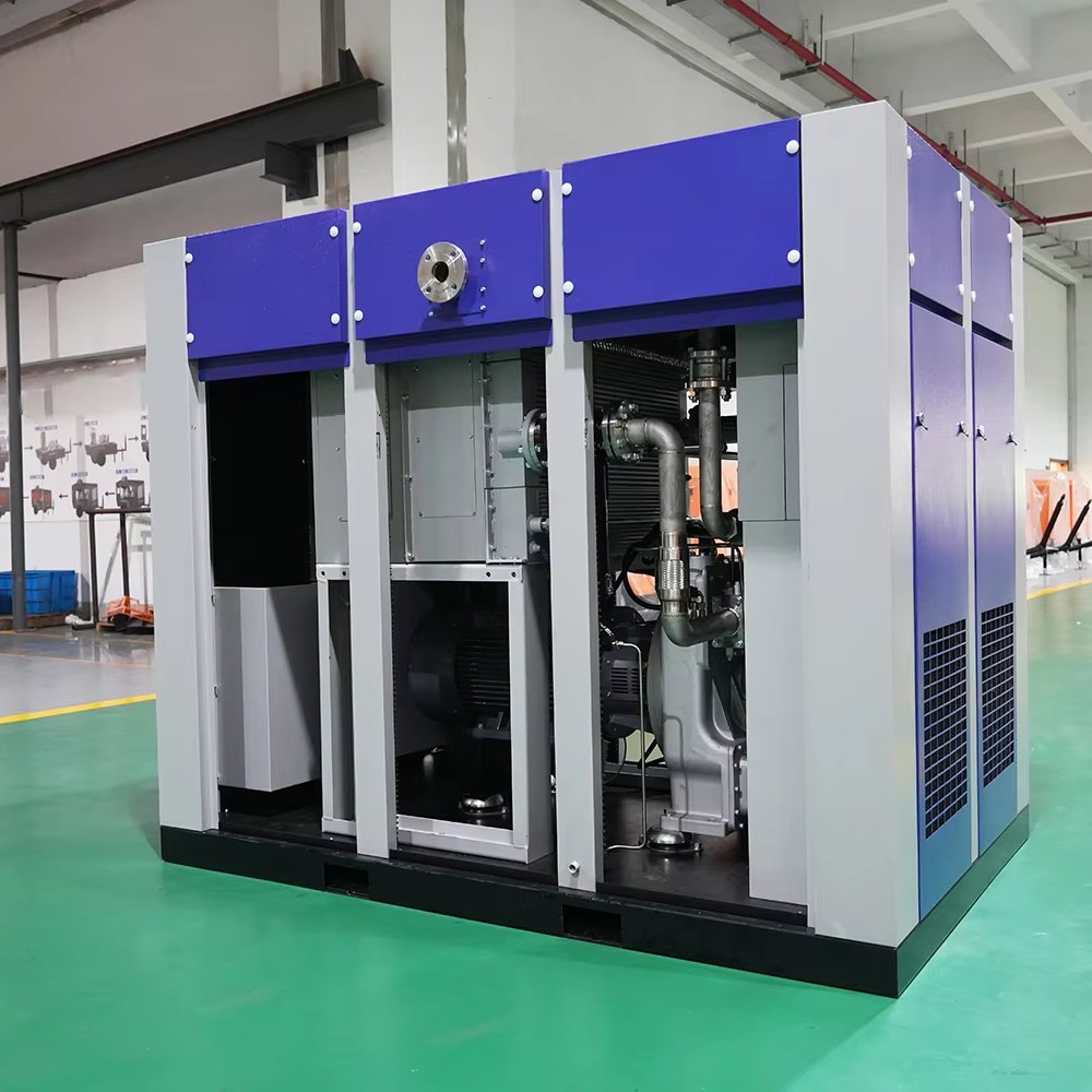 Industrial Clean Dry Type Oilless/Oil Free Rotary Screw Air Compressor