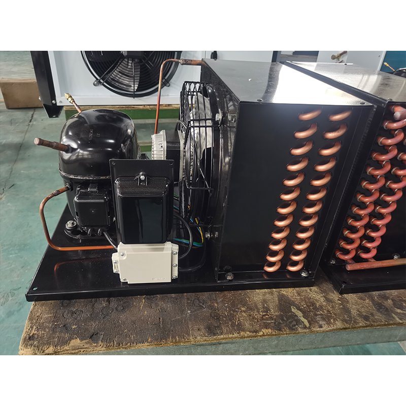 1hp 220V/1PH/50Hz R134a SC21L Hermetic Compressor Cold Storage Refrigeration Condensing Unit