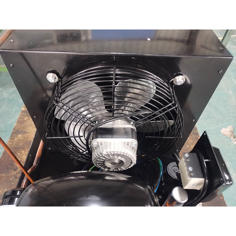 1hp 220V/1PH/50Hz R134a SC21L Hermetic Compressor Cold Storage Refrigeration Condensing Unit