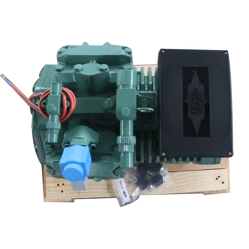 2hp 3hp 4hp 5hp 6hp 10hp 15hp 20hp Air Cooled Bitzer Compressor for Refrigeration Unit Condensing Units Cold Room Frozen Cooling
