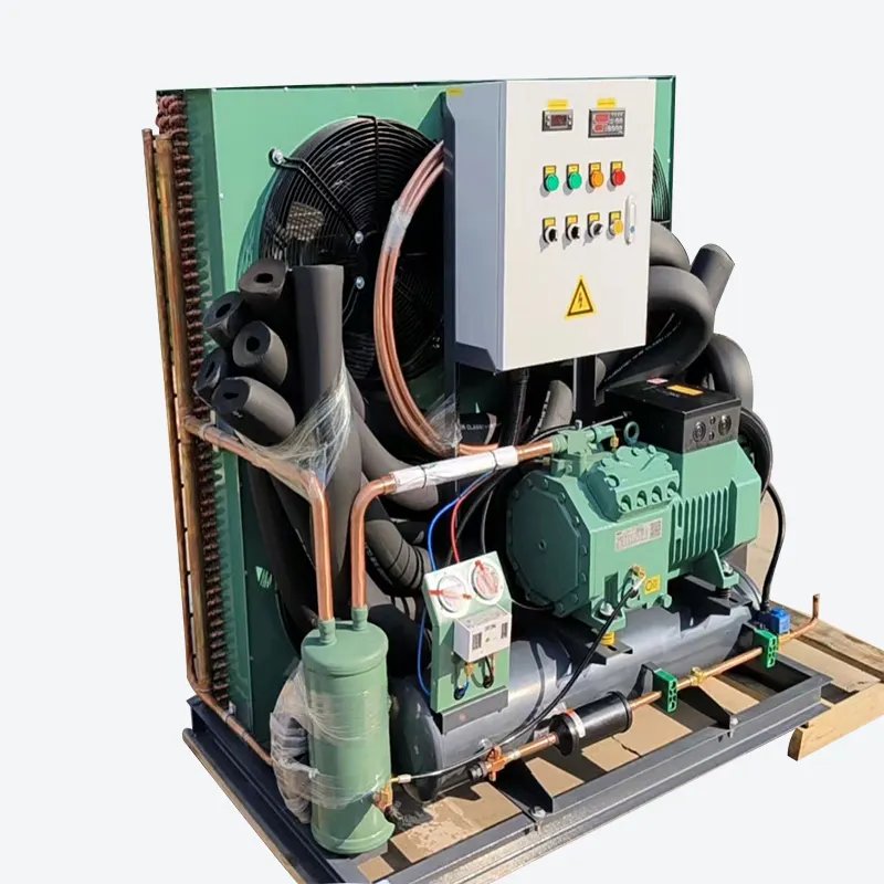 2hp 3hp 4hp 5hp 6hp 10hp 15hp 20hp Air Cooled Bitzer Compressor for Refrigeration Unit Condensing Units Cold Room Frozen Cooling