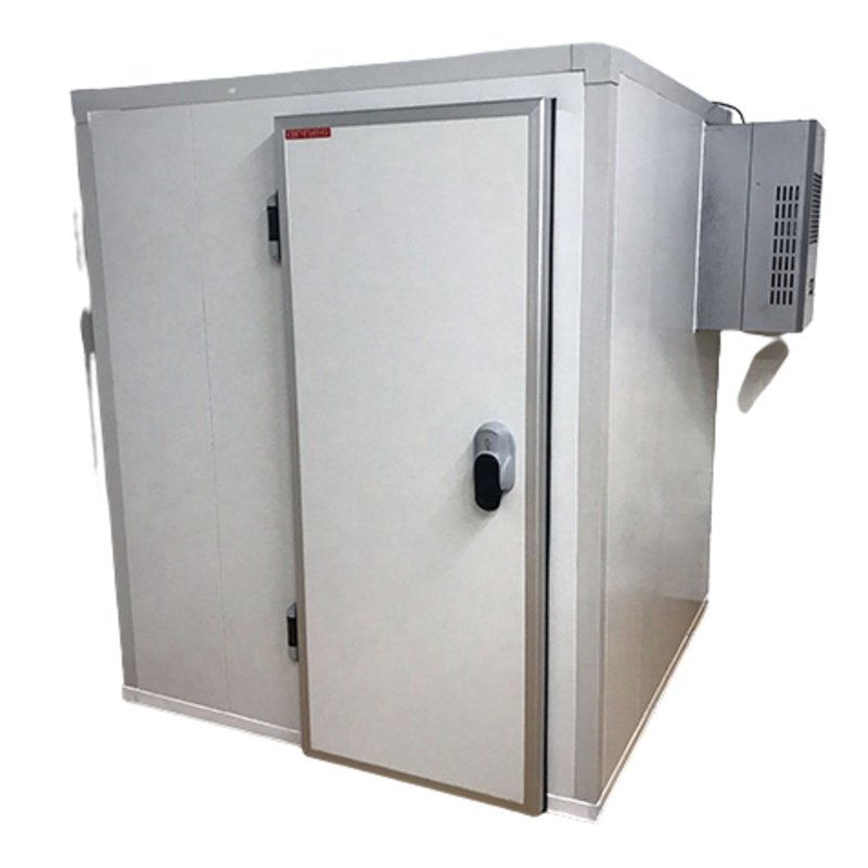 Meat Walk in Cold Room Freezer Cooler Container Storage Room with Refrigeration Unit
