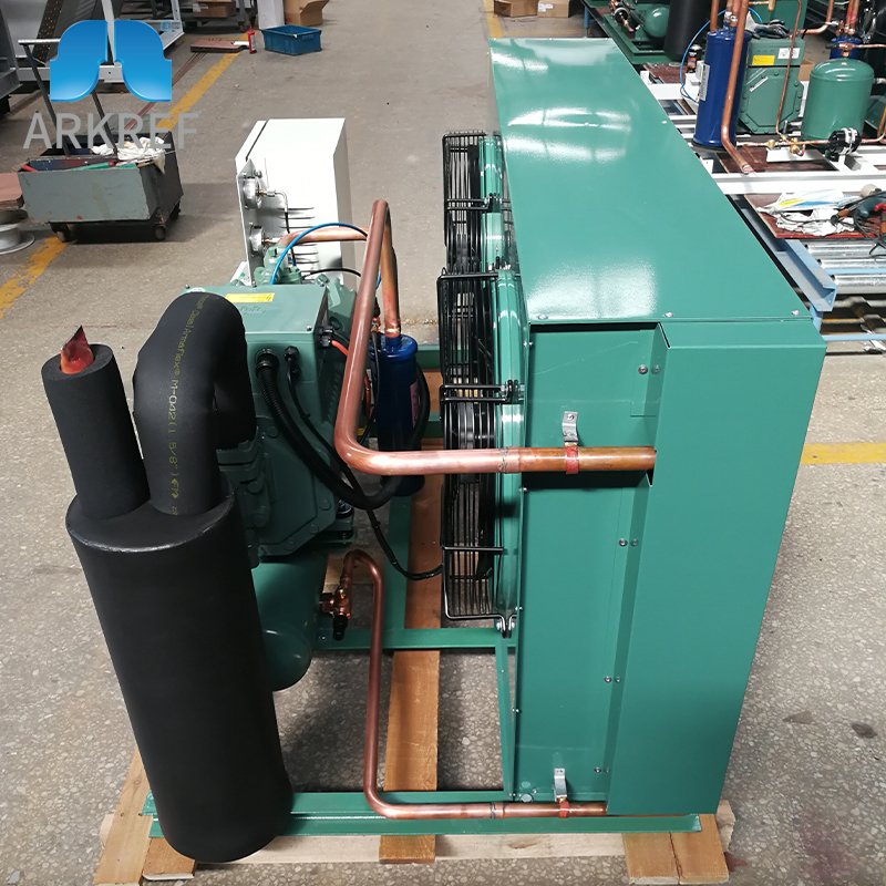 ARKREF Refrigeration Equipment R407c Cold Room Air Cooled Condensing Unit