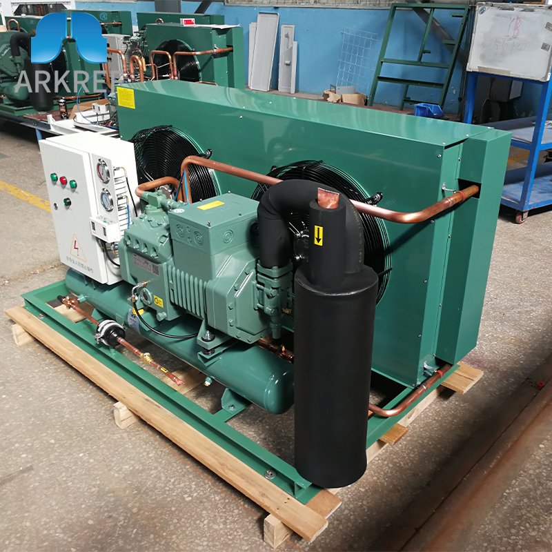 ARKREF Refrigeration Equipment R407c Cold Room Air Cooled Condensing Unit