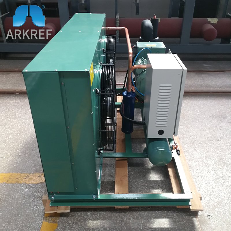 ARKREF Refrigeration Equipment R407c Cold Room Air Cooled Condensing Unit
