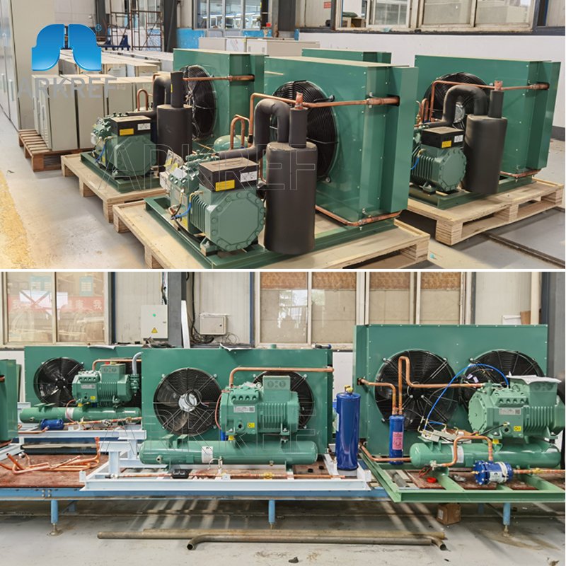 ARKREF Refrigeration Equipment R407c Cold Room Air Cooled Condensing Unit