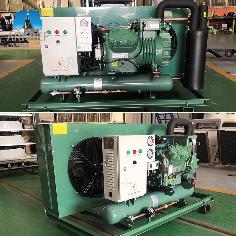 ARKREF Refrigeration Equipment R407c Cold Room Air Cooled Condensing Unit