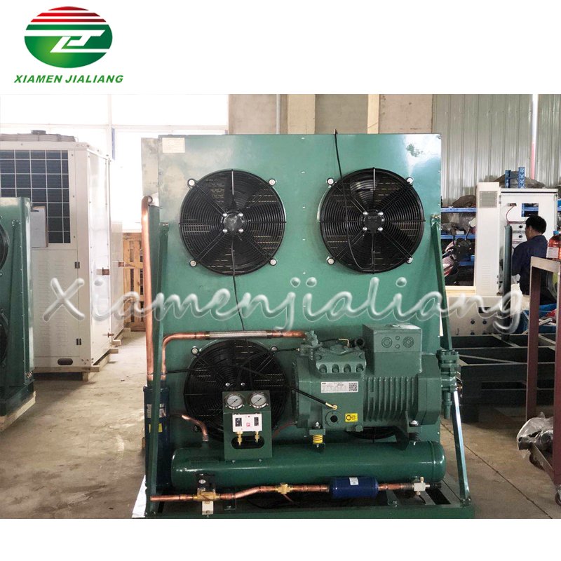 Xiamen Jialiang 4Hp Condensing Unit Condensing Unit Refrigeration Condensing Unit for Cold Room Storage
