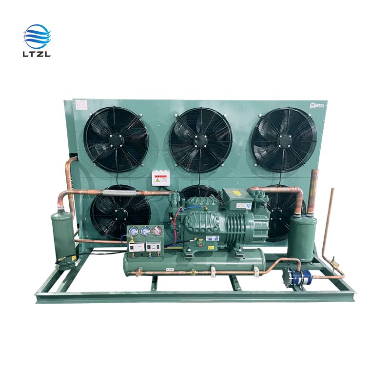 Factory 3hp 5hp 6hp 8hp German Air-Cooled Compressor Condensing Unit New Condition Bitzer Motor Cooling System Refrigeration