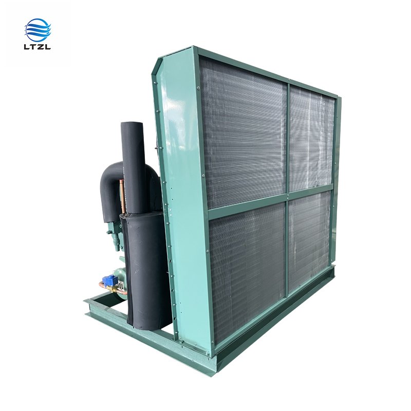 Factory 3hp 5hp 6hp 8hp German Air-Cooled Compressor Condensing Unit New Condition Bitzer Motor Cooling System Refrigeration