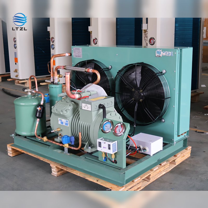 Factory 3hp 5hp 6hp 8hp German Air-Cooled Compressor Condensing Unit New Condition Bitzer Motor Cooling System Refrigeration
