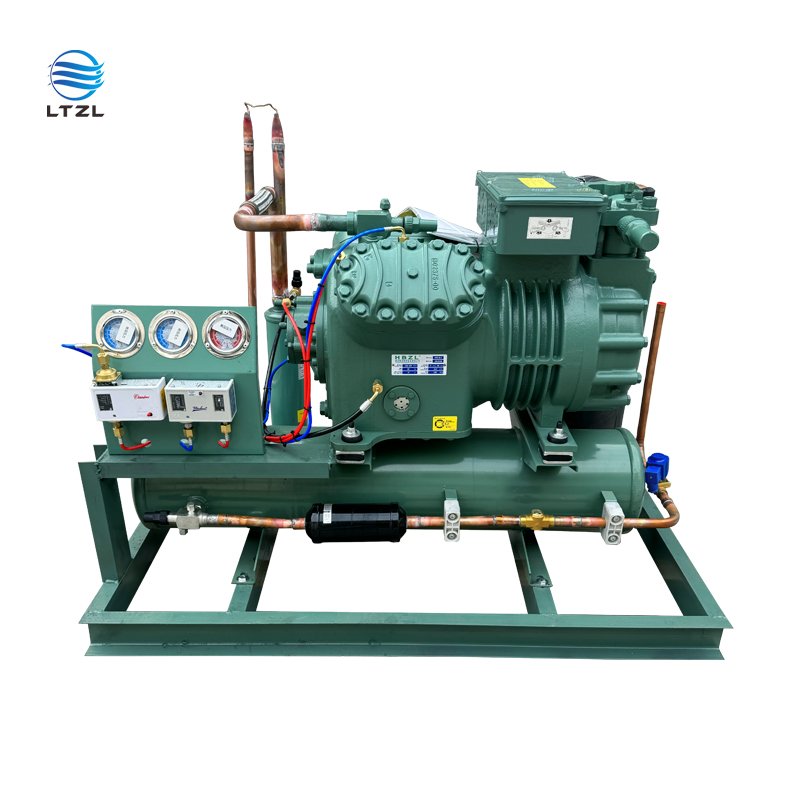Factory 3hp 5hp 6hp 8hp German Air-Cooled Compressor Condensing Unit New Condition Bitzer Motor Cooling System Refrigeration