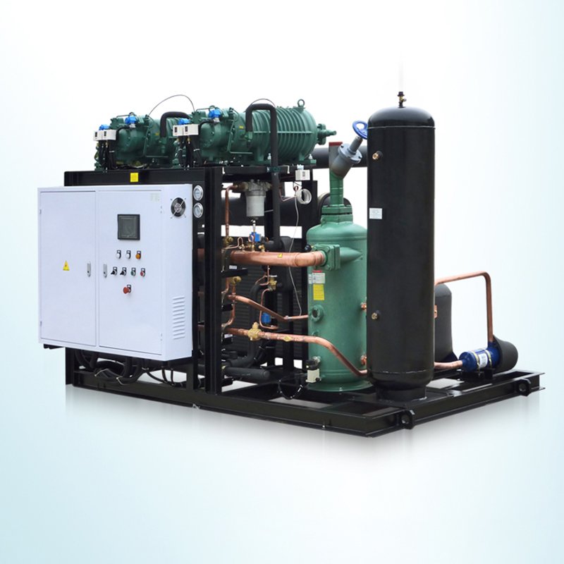 Semi-Hermetic Condensing Units Air-Cooled Freezer Compressor Low Temperature Refrigeration Condensing Unit for Cold Storage