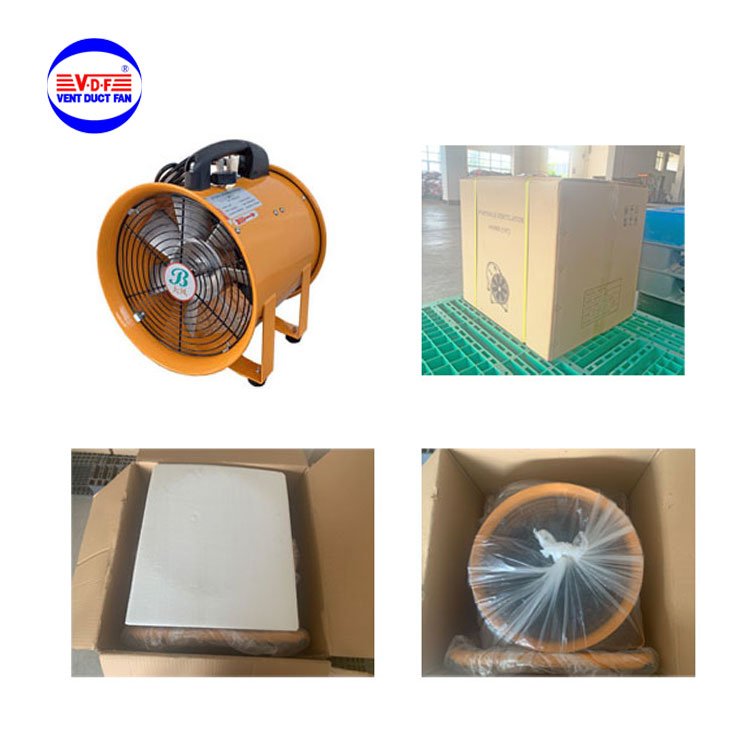 Single Phase AC Electric 200mm 250mm 300mm Industrial Portable Ventilator Fan