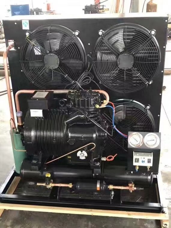 20hp Cold Room Cold Storage High Performance Compressor Air Cooled Condensing Unit
