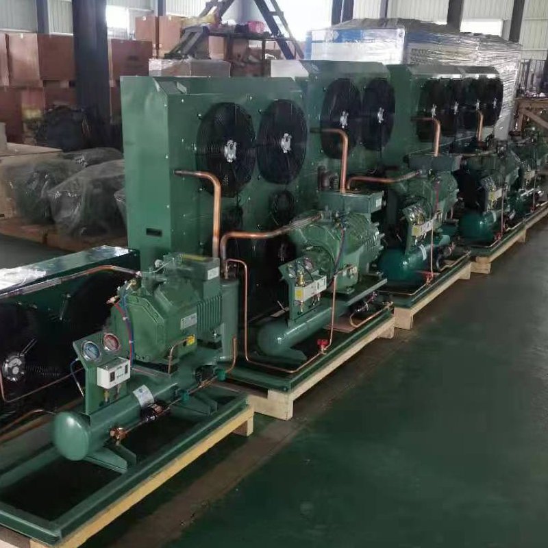 20hp Cold Room Cold Storage High Performance Compressor Air Cooled Condensing Unit