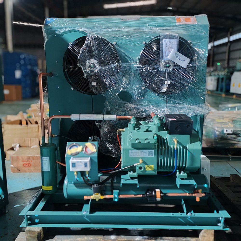 10HP Piston Condensing Unit for Cold Project Reciprocating Compressor Air Cooled Condensing Unit for Cold Room Refrigeration