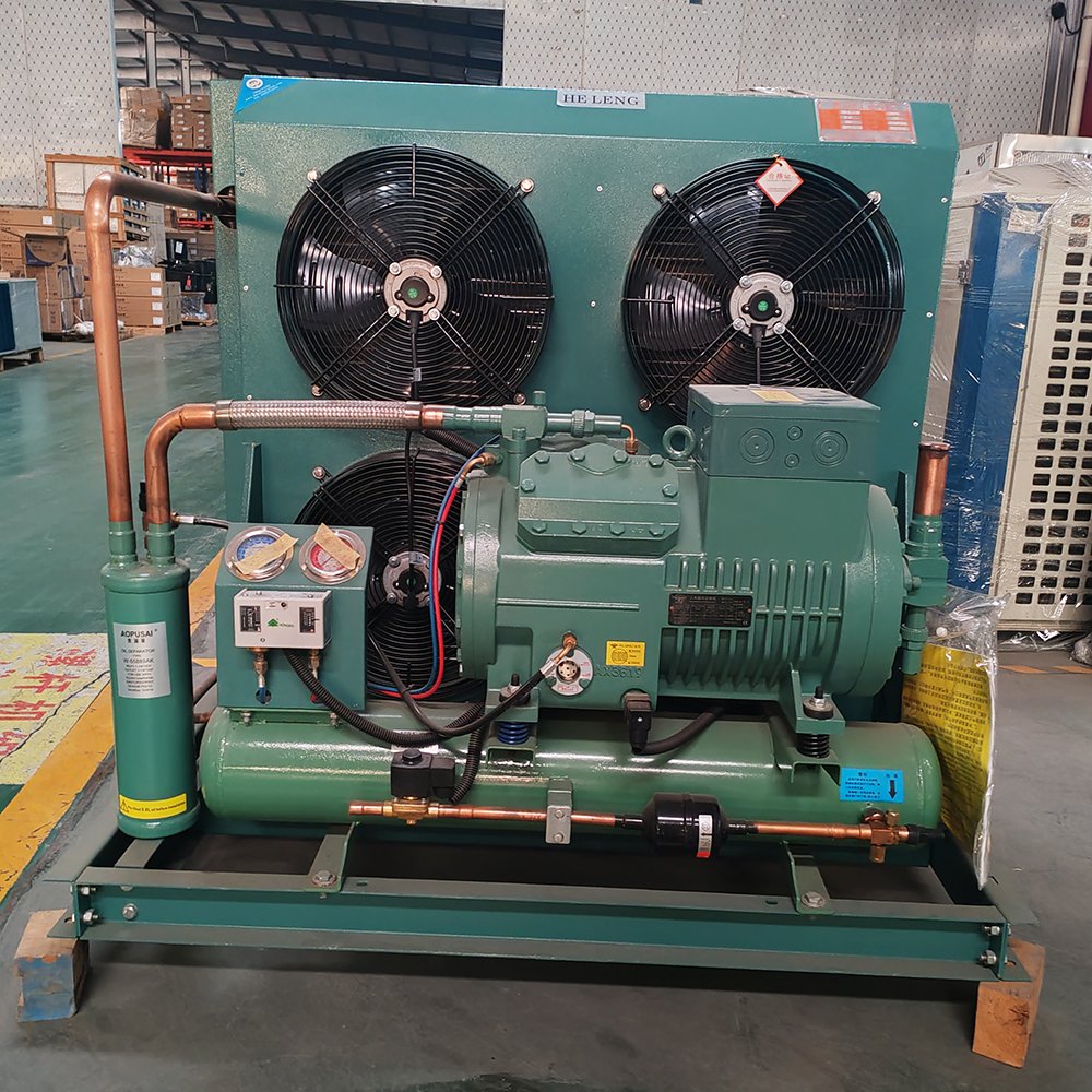 10HP Piston Condensing Unit for Cold Project Reciprocating Compressor Air Cooled Condensing Unit for Cold Room Refrigeration