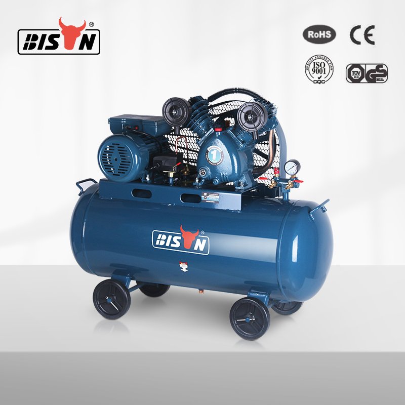 Bison Belt Drive Air Compressor 100L 3Hp 220V 230V 8 Bar Ac Belt Driven Air Compressor Machine for Sale