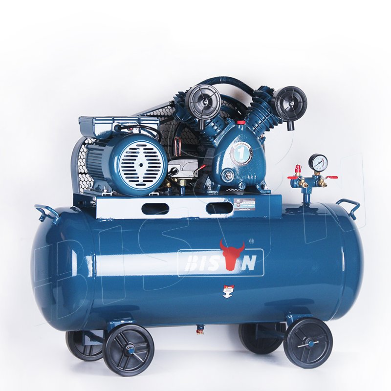 Bison Belt Drive Air Compressor 100L 3Hp 220V 230V 8 Bar Ac Belt Driven Air Compressor Machine for Sale
