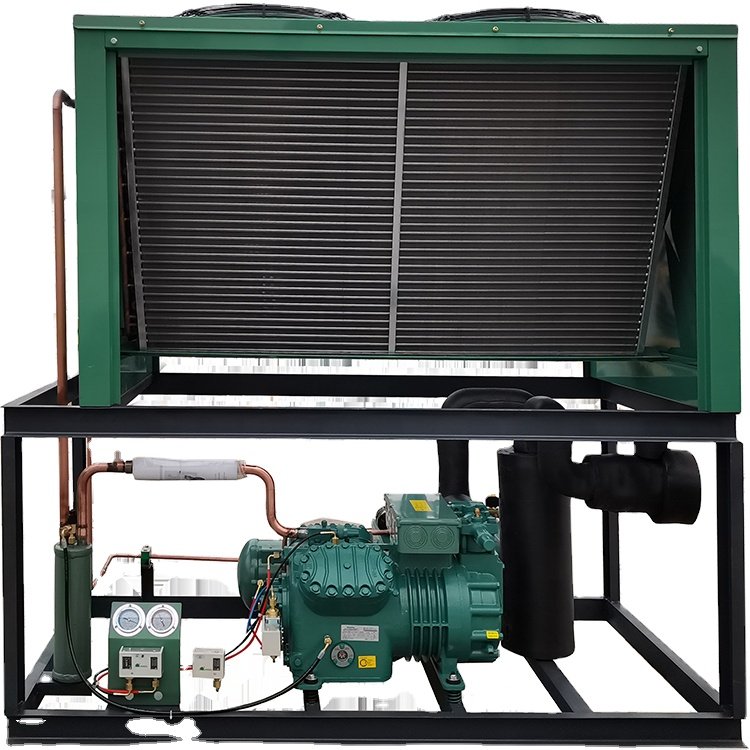BITZER Refrigerator Condenser Freezer Refrigeration Unit Condensing Unit Price Air Cooled Compressor Condenser Unit for Freezer
