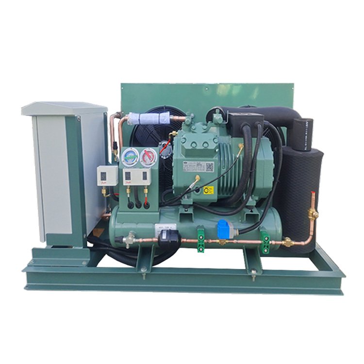 BITZER Refrigerator Condenser Freezer Refrigeration Unit Condensing Unit Price Air Cooled Compressor Condenser Unit for Freezer