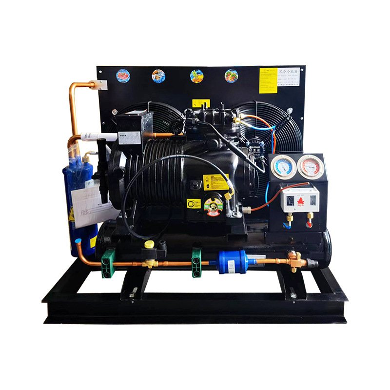 Factory Price Industrial Refrigeration Equipment Cold Room Air Cooled Condensing Unit Vegetable Cold Freezer Room