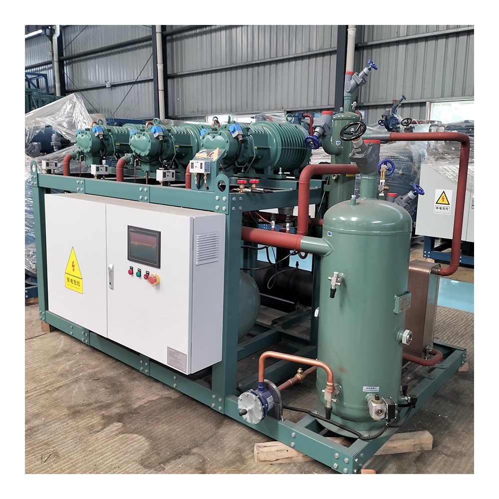 Parallel 250tons Capacity Air Cooled Compressor Rack Condensing Units Screw Unit for Cold Room