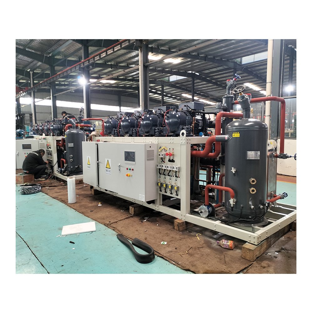 Parallel 250tons Capacity Air Cooled Compressor Rack Condensing Units Screw Unit for Cold Room