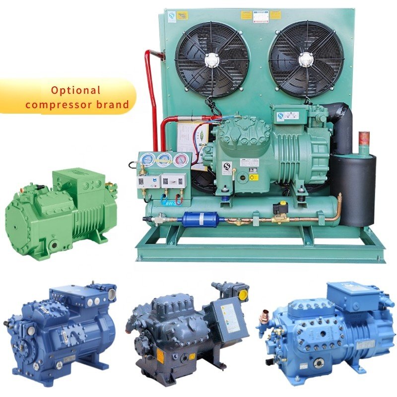 10 Hp Air Cooled Condenser Unit Refrigeration Air Cooling Compressor Condensing Unit for Cold Room Storage