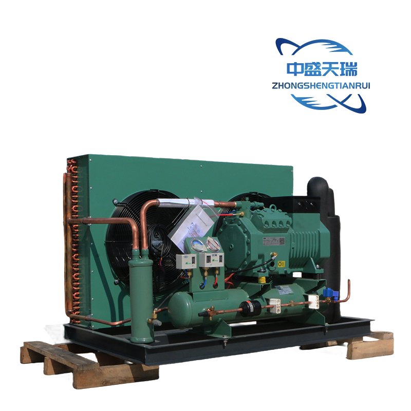 Blast Freezer Air Cooled Semi Hermetic Compressor Refrigeration Condensing Unit for Cold Room
