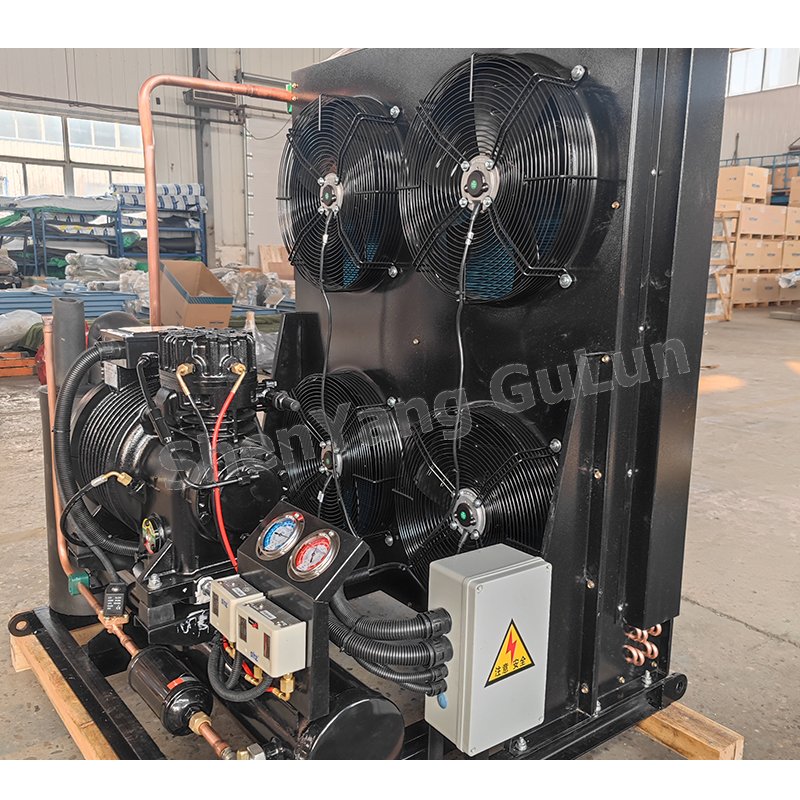 Outstanding Quality 3HP Air-Cooled Condensing Units C33-AL New Condition Condenser Unit